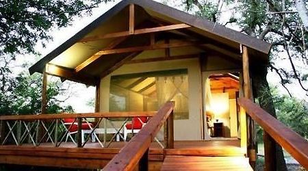 Lion Tree Top Lodge Hoedspruit Bagian luar foto