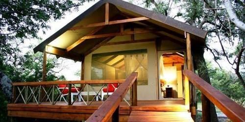 Lion Tree Top Lodge Hoedspruit Bagian luar foto