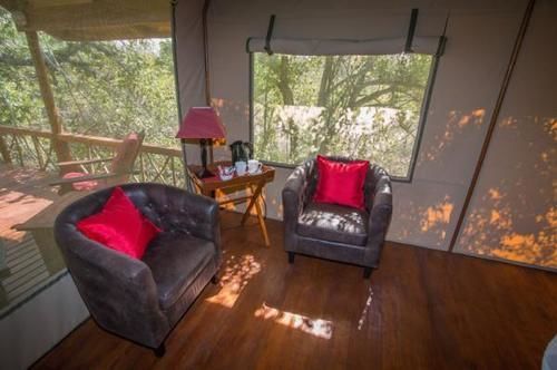 Lion Tree Top Lodge Hoedspruit Bagian luar foto