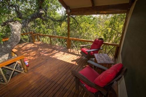 Lion Tree Top Lodge Hoedspruit Bagian luar foto