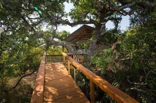 Lion Tree Top Lodge Hoedspruit Bagian luar foto